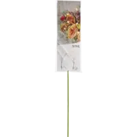 728-33_FP_002.png