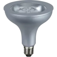 348-49_FL_001.png