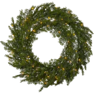 Krans Thuja