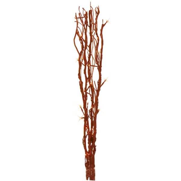 584-10_MN.png