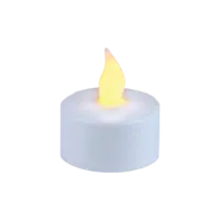 477-60_FL_002.png