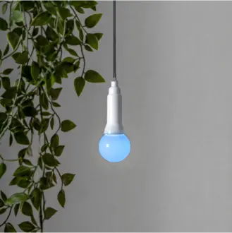 Ljusslinga Lighty