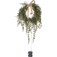 613-00-1_FL_001.png