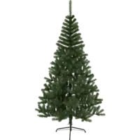 607-20_FL_001.png