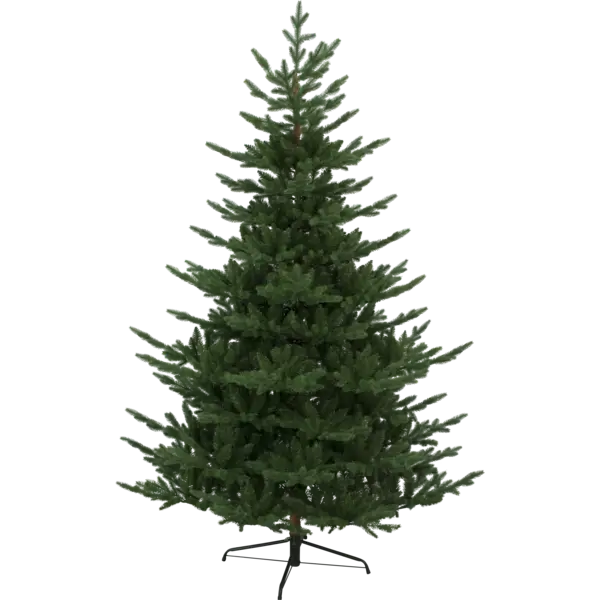 608-54_MN.png