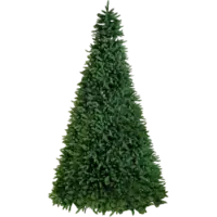 608-33_FL_001.png