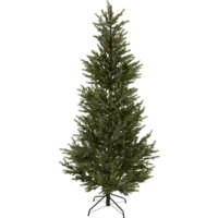 606-32_FL_001.png