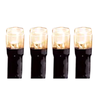 497-96-1_FL_001.png
