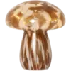 581-36_MN.png