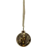 457-77_FL_001.png