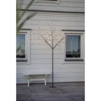 475-29_MB_001.png
