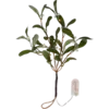 612-92-1_MN.png