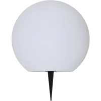 481-81_FL_001.png