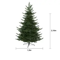 608-54_MT.png