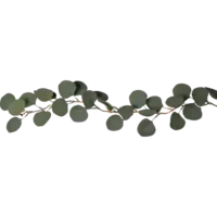 581-32_FL_001.png