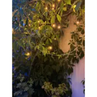 594-19-1_MB_002.png