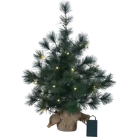 600-35_FL_001.png
