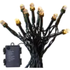 729-32_MN.png