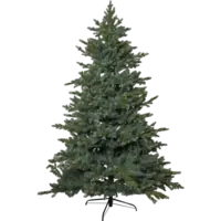606-04_FL_001.png