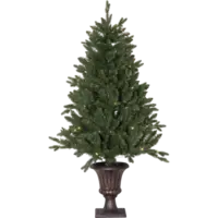 606-80-1_FL_001.png