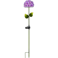 481-57_FL_001.png