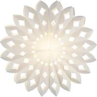 501-11_FL_002.png