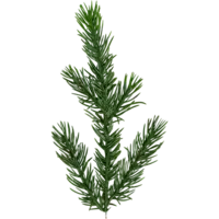 606-32_M2.png