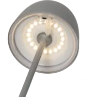 803-17_FL_003.png