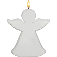 063-66_FL_001.png