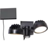 481-67_MN.png