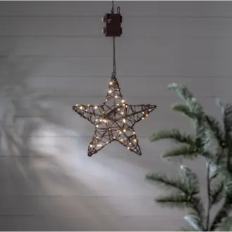 Utomhusdekoration Vicke Star 30cm