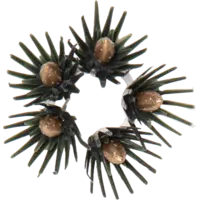 054-23_FL_001.png