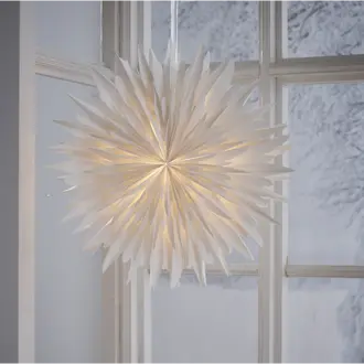 Pappersstjärna Winter