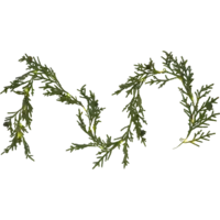 612-64_FL_001.png