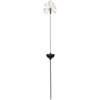 481-78_MN.png