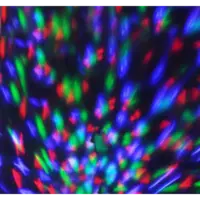 361-42_FL_006.png
