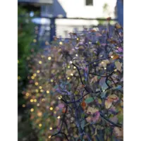 495-17_MB_012.png