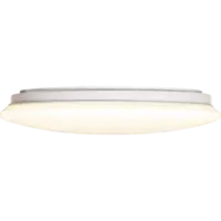 380-19_FL_004.png