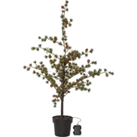606-81_FL_001.png