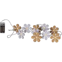 729-82_FL_001.png