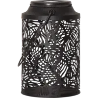 482-66_FL_001.png