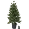 606-79-1_MN.png