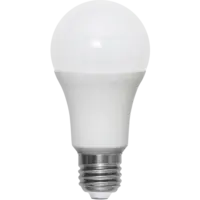 368-01_FL_001.png