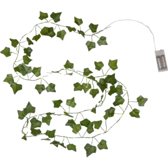 Ljusslinga Ivy
