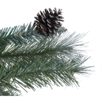 606-49_FL_001.png