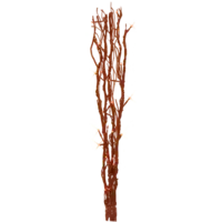 584-10_FL_001.png