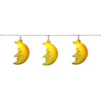 728-95_FL_001.png