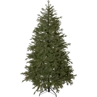 606-34_FL_001.png