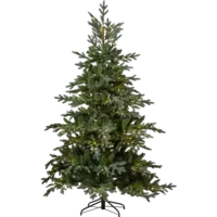 608-55-2_FL_001.png