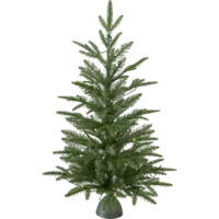 600-71_FL_001.png